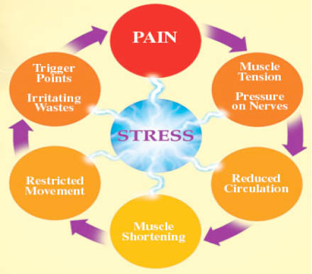 Pain Cycle